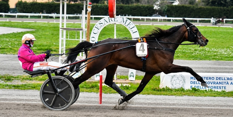 Torino, conto alla rovescia per il 61° Gran Premio Marangoni. Stasera a Livorno il 112° Criterium Labronico