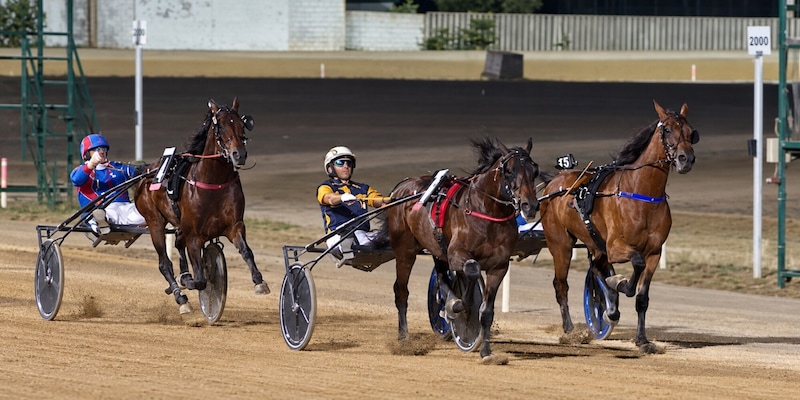 Casarano, spettacolo nel 1° Gran Premio del Salento: successi di Giotto Ek e Gioconda Jet, strapotere Gocciadoro-Di Nardo