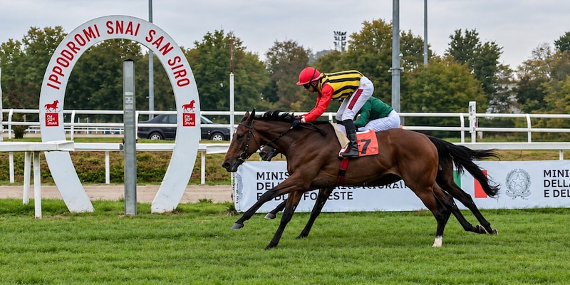 Premio Verziere, Piccola Piuma incanta a San Siro