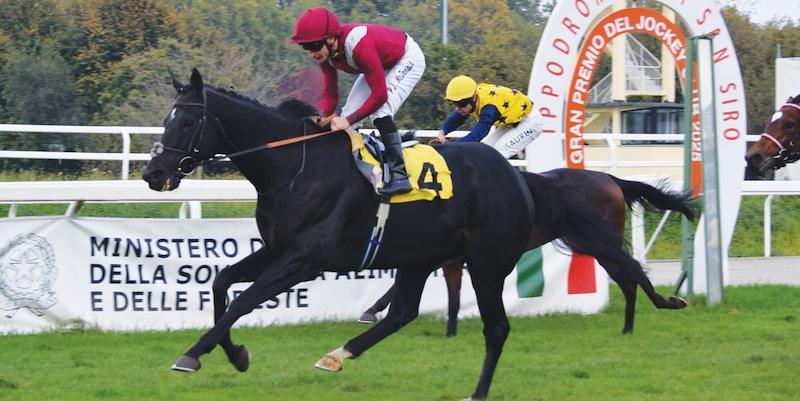 San Siro ombelico del galoppo europeo: weekend da sogno a Milano, attesa per il 104° Jockey Club