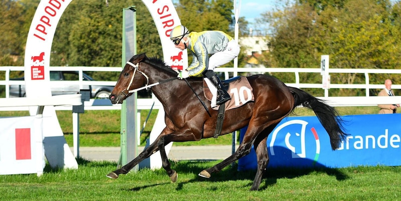 Milano, Wish You Fly conquista il Premio Dormello a quota monstre
