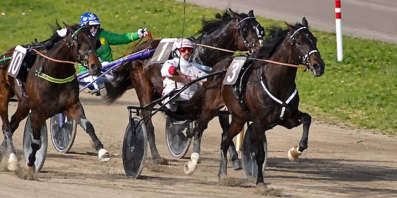 Gran Premio Città di Padova, Gill Dorial mette il turbo e vince in rimonta