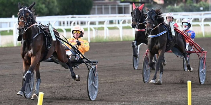 ANACT Stakes Plus 2026, completate a Roma le qualificazioni: ecco i 24 finalisti per Treviso