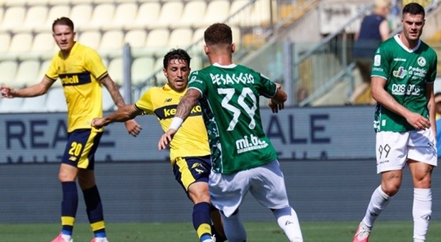 Serie B, Avellino da urlo a Modena. Pari tra Cesena e Mantova con il Ct Mancini in tribuna