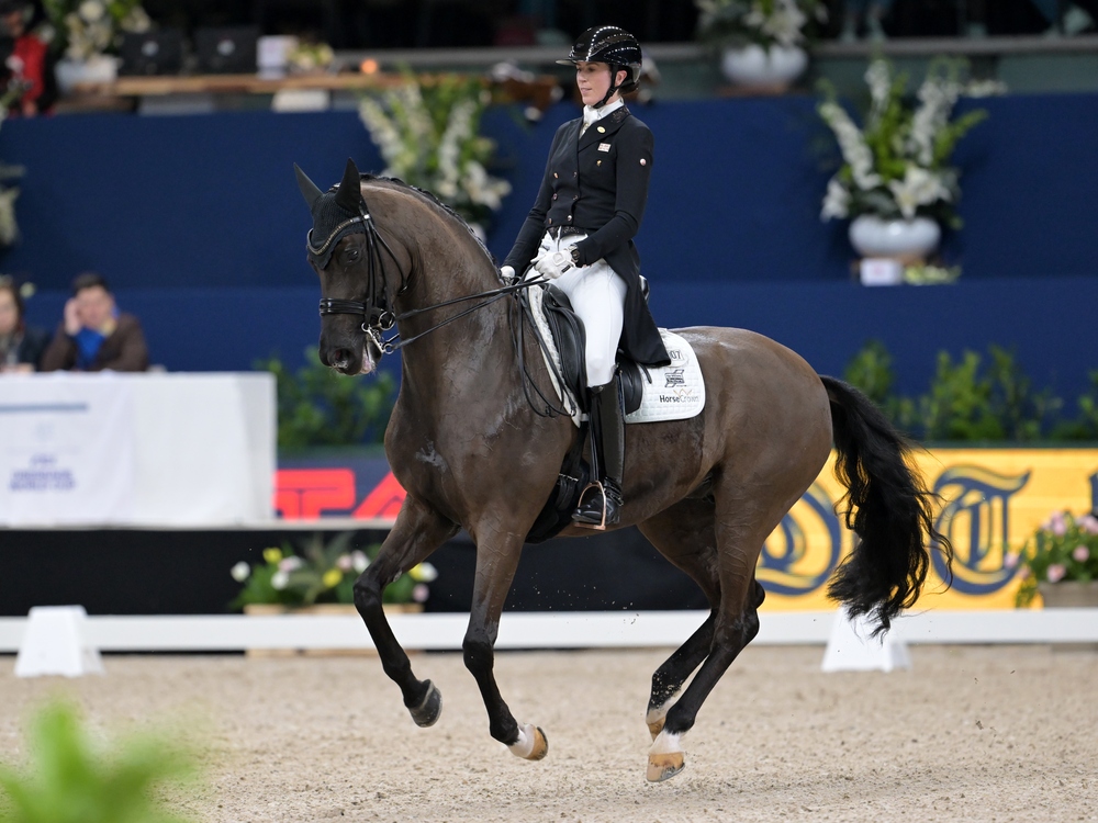Mondiali equitazione 2026 oggi: orari 11 agosto, tv, streaming, italiani in gara