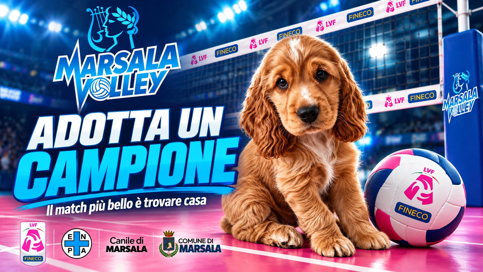 Adotta un campione: Marsala Volley in campo per i cani senza famiglia