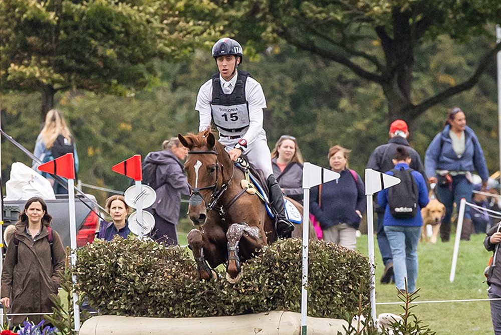 Equitazione: a Boekelo la prima parte del dressage del completo. Italiani a centro gruppo