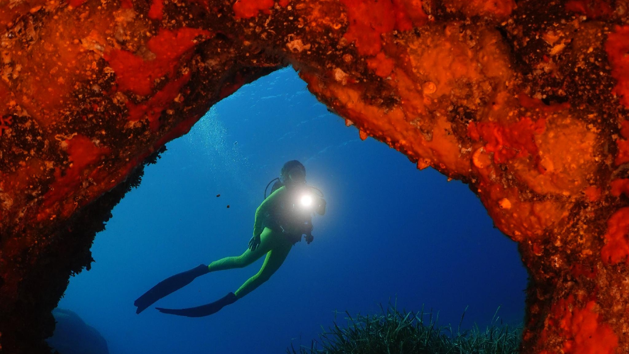 Subacquatica 2026, le immagini sono straordinarie