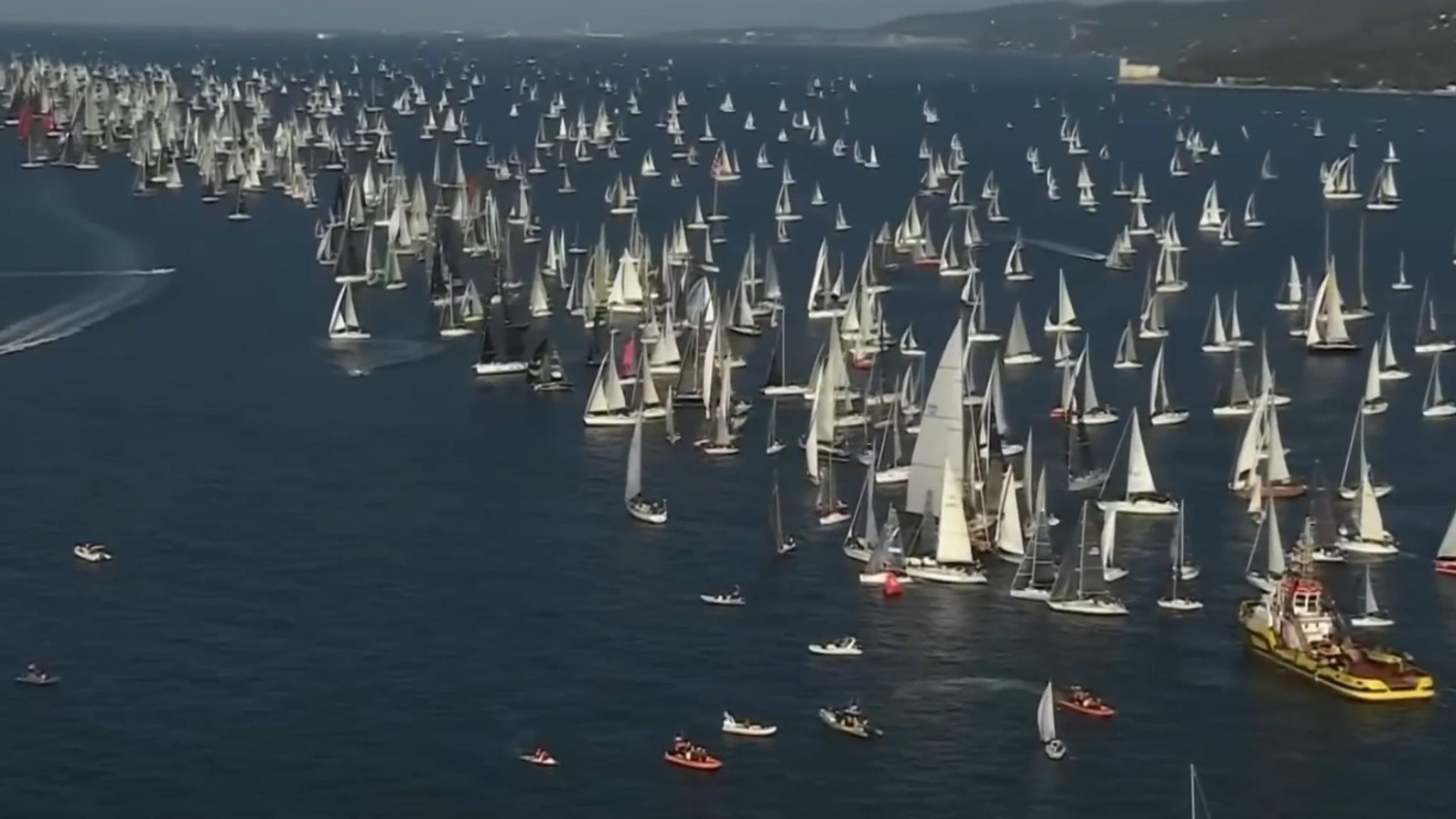 Aspettando la Barcolana, nel Golfo di Trieste tra vele e habitat marini
