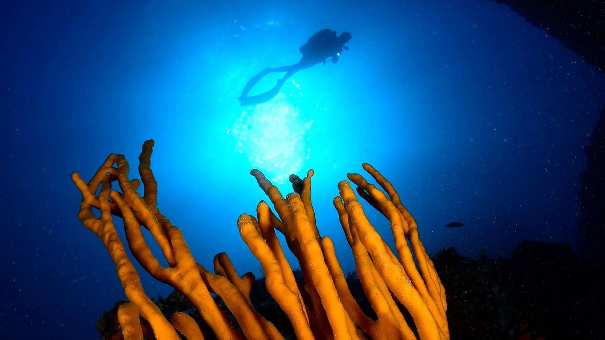 Ponza e Ventotene: il blu si mette in mostra